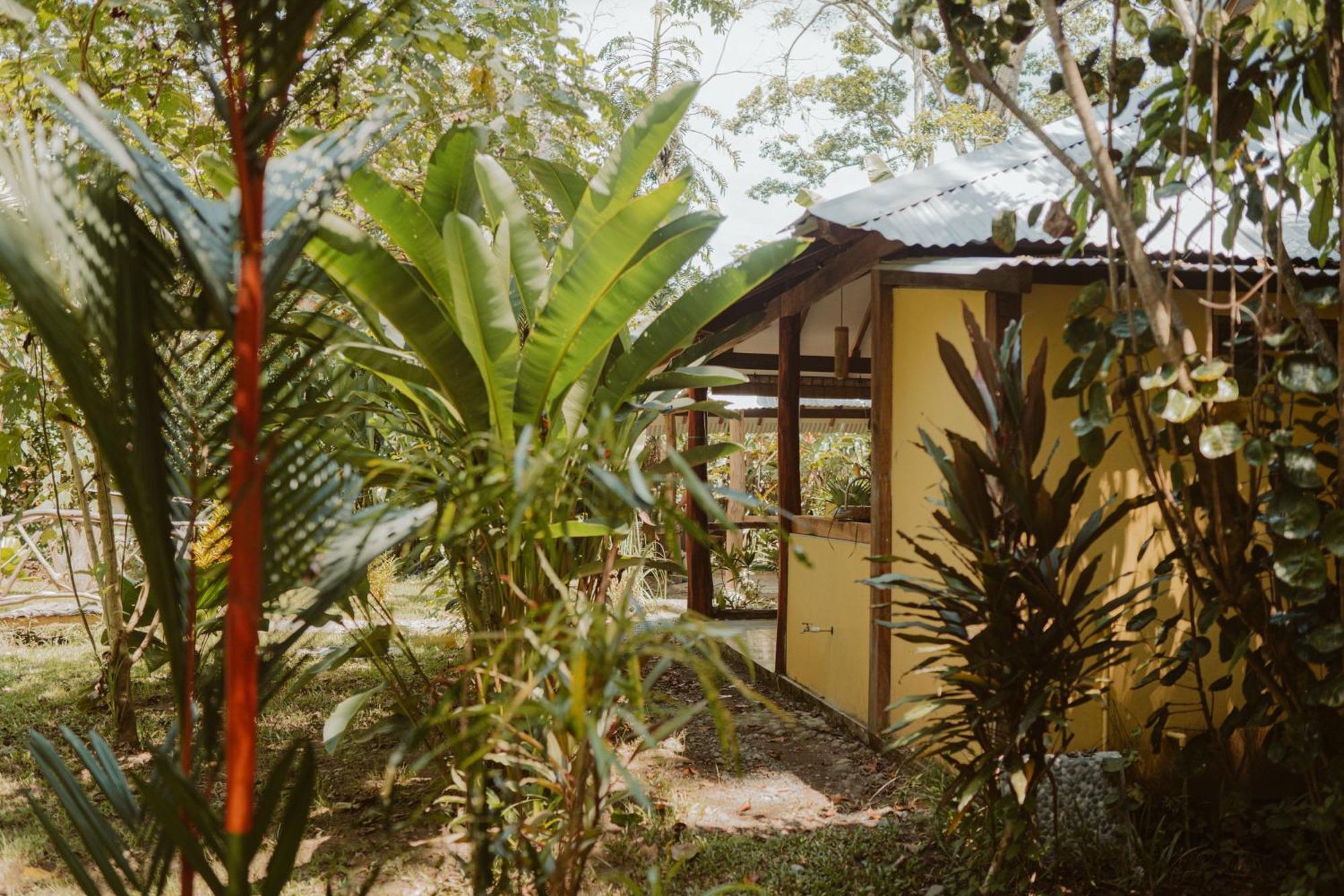Casa De Los Amigos Caribena Cahuita Dış mekan fotoğraf